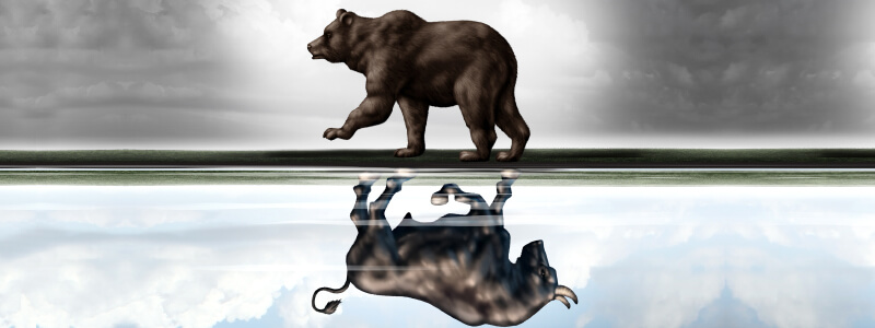 Turbulent Times: Bear Markets Come and Go